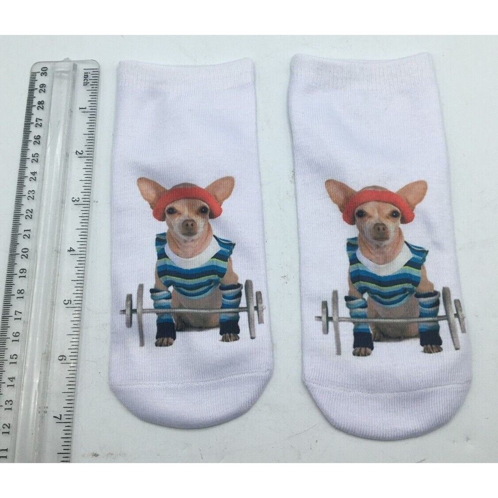 Girl Teen Socks Chihuahua Dog Weight Lifting Whimsical Read Size New Free Ship - Picture 2 of 5